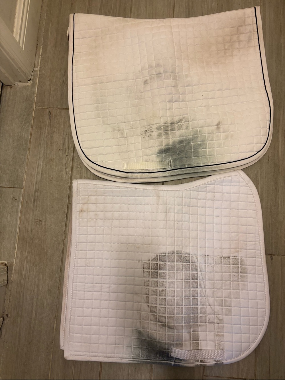 2 White Dressage Saddle Pads